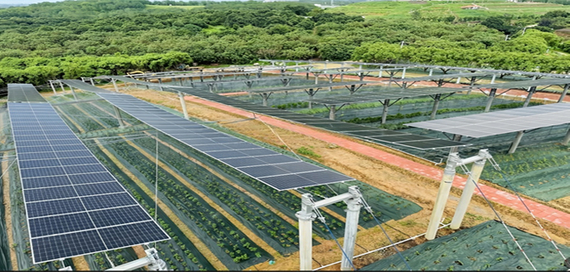 Photovoltaic Intelligent Irrigation