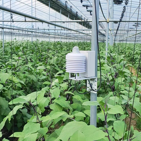 Weather Station for Greenhouse Agriculture in South Korea