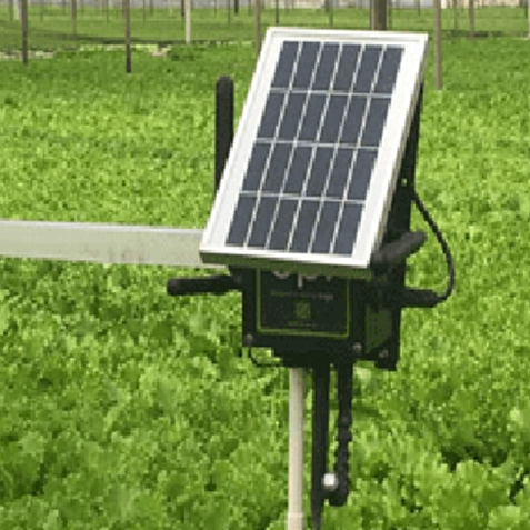 Product Application Description: Rockwool Moisture Sensor for Soilless Cultivation