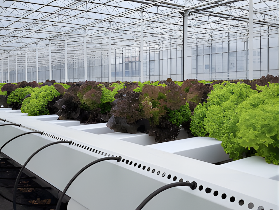 Intelligent Monitoring Solution for Soilless Cultivation