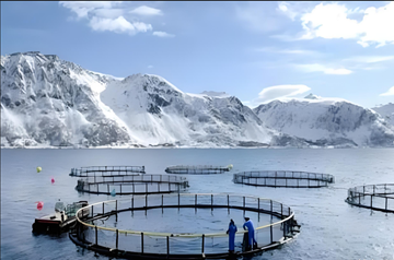 Aquaculture: Feeding The World Beneath The Waves