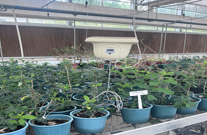 Climate-Controlled Greenhouses : How Automation Helps Farmers Grow Perfect Crops
