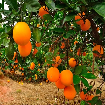 1747122806841 - 副本.jpg