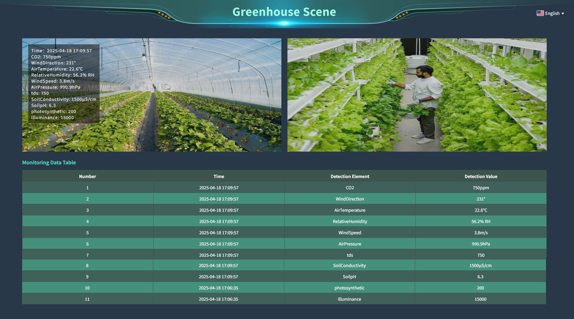 greenhouse-3