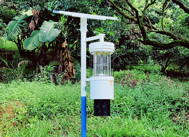 insecticidal light
