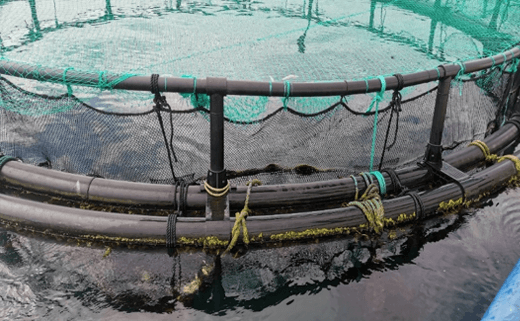 Aquaculture PE Net Cages