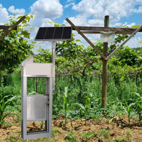 Solar-powered integrated rice field irrigation and drainage gate