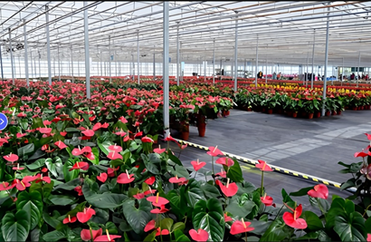Greenhouse CO2 monitoring & watering systems: essential tools for precision agriculture