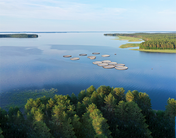 Аквакультура