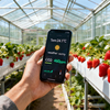 Intelligent Environmental System for Greenhouse