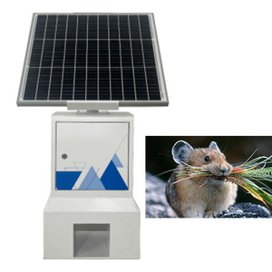 Intelligent Pest Detection System with Real-Time Monitoring