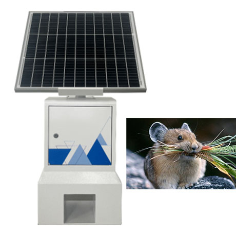 Intelligent Pest Detection System with Real-Time Monitoring