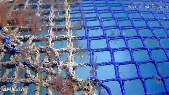 Net Wash05