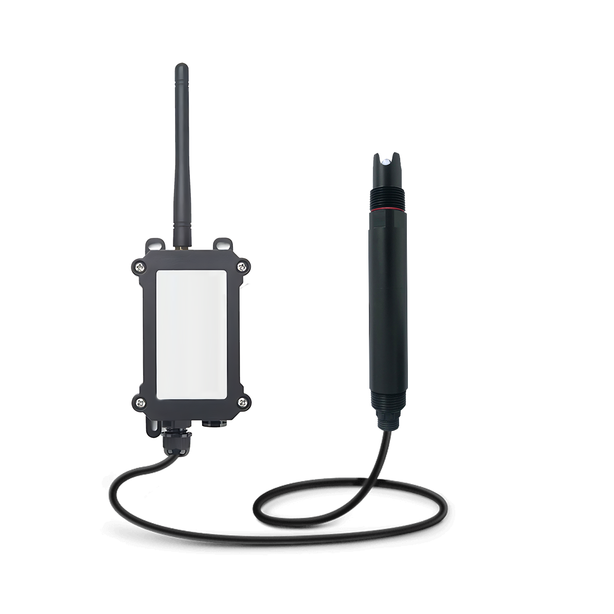 Water PH Sensor