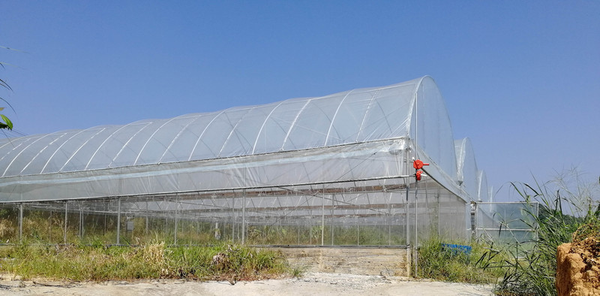 automated greenhouse control -bgt