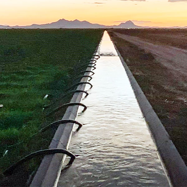 irrigation