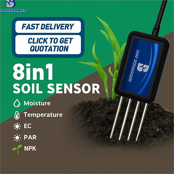 Greenhouse Soil-Based Crop Cultivation