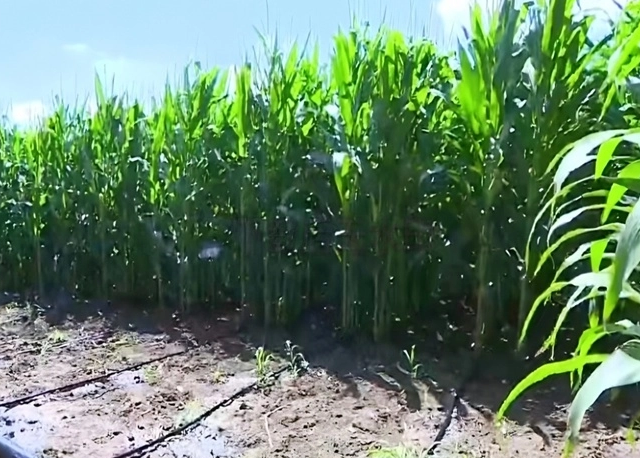 Integrated water and fertilizer system