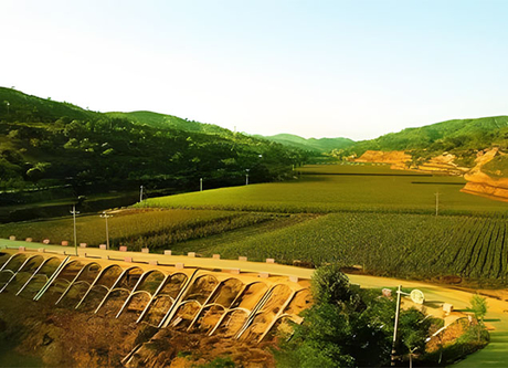 2507 warping dam1.jpg