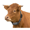 Multi-Animal GPS Tracker for Cattle, Sheep, Horses, And Camels
