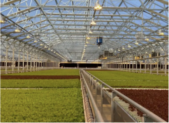 Intelligent Monitoring Solution for Soilless Cultivation