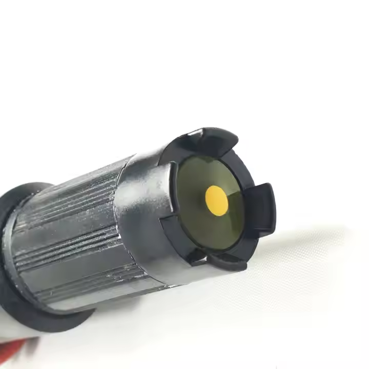 BGT-WCl(K2) Online Chloride Ion Sensor