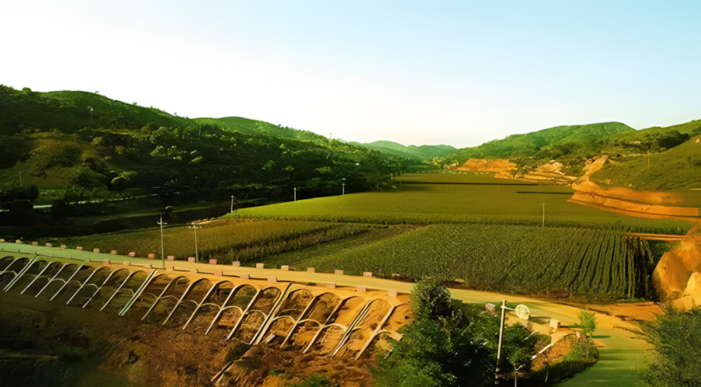 Warping Dam Safety Management 