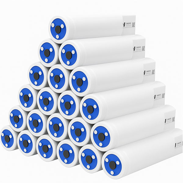 ​​PH Rumen Capsule for Scientific Research