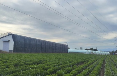 ​The Smart Greenhouse Automated Monitoring And Control System