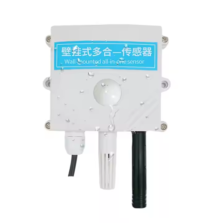 BGT-AWS Multi-Parameter Weather Sensor (Wall-Mounted)