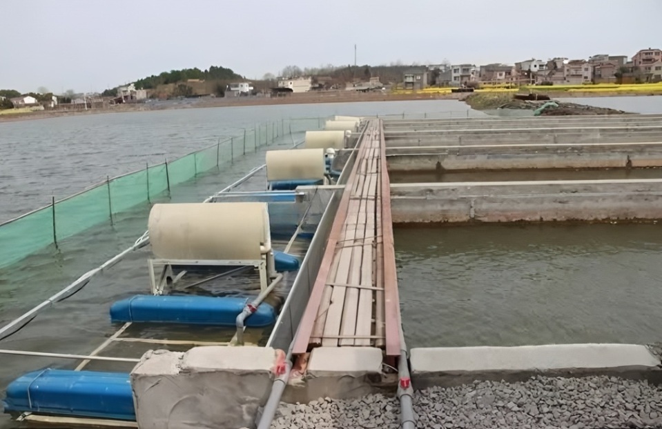 aquaculture solutions RAS