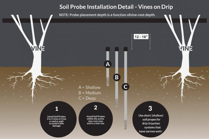 Recommended Sensor Placement Between Vines