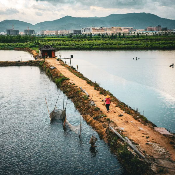 Online Water Quality Monitoring System