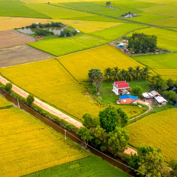 Smart Irrigation System